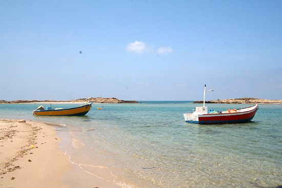 צימרים באופק הים בחוף דור